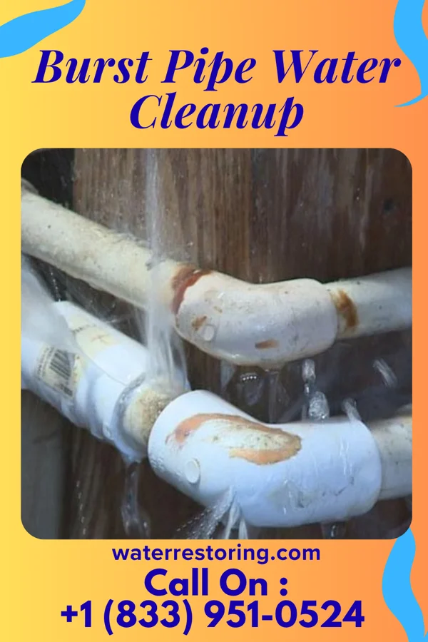Burst Pipe Water Cleanup in Lakeshire, MO