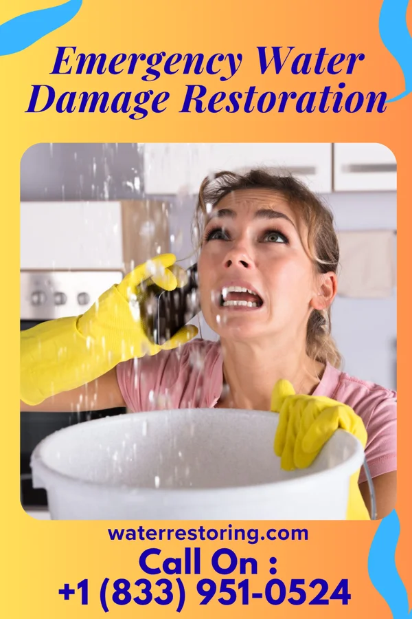 Emergency Water Damage Restoration in Lakeshire, MO