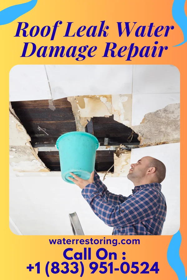 Roof Leak Water Damage Repair in Lakeshire, MO